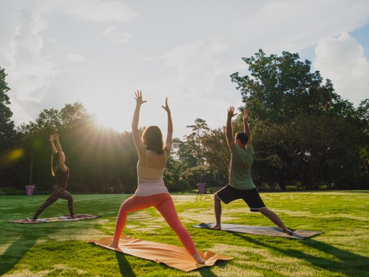 Airlie Gardens Yoga