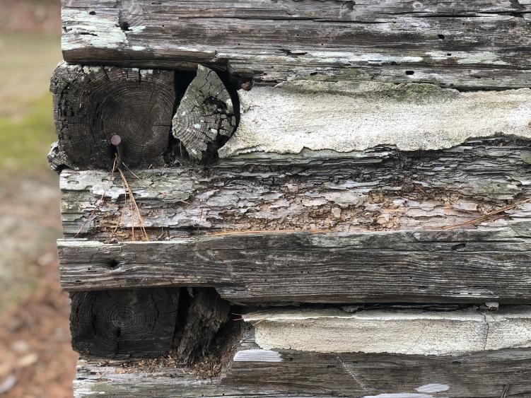 Tobacco Barn Damage at the Tobacco Farm Life Museum