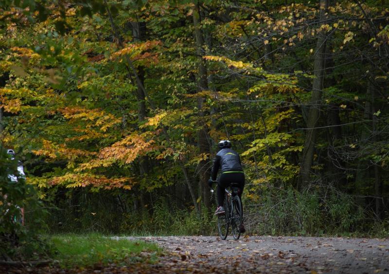 Fall Cycling in leaves