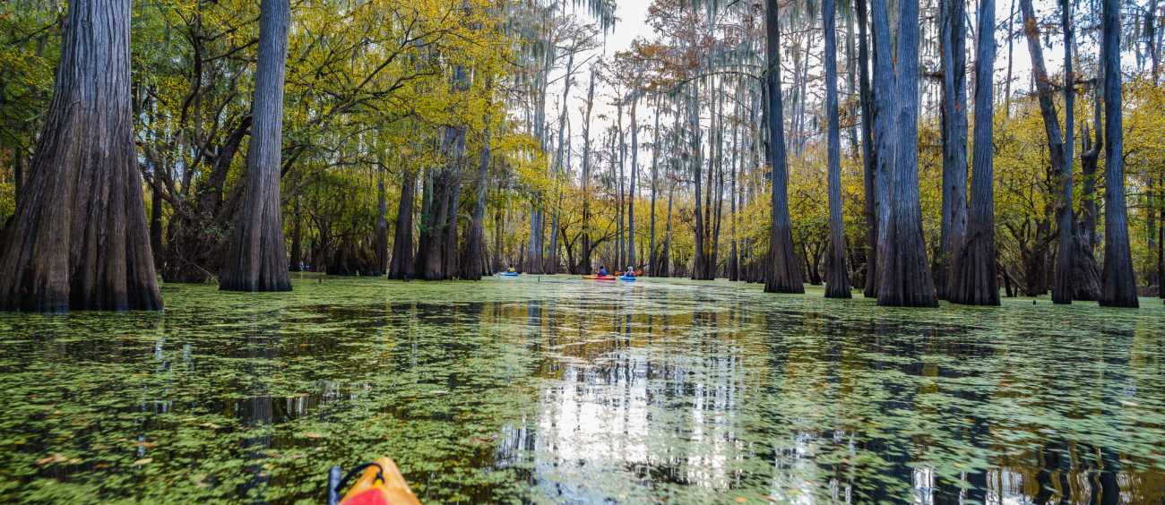 Kayak under mossy trees on Caddo Lake in northern Caddo Parish