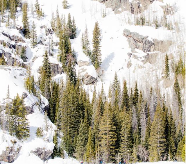 Snowshoe tours - Estes Park Tour Guides