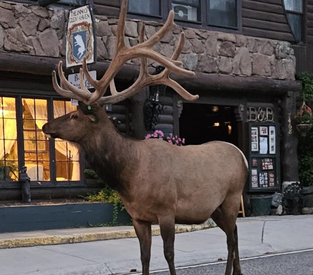 Glen Junior in front of inn.jpg