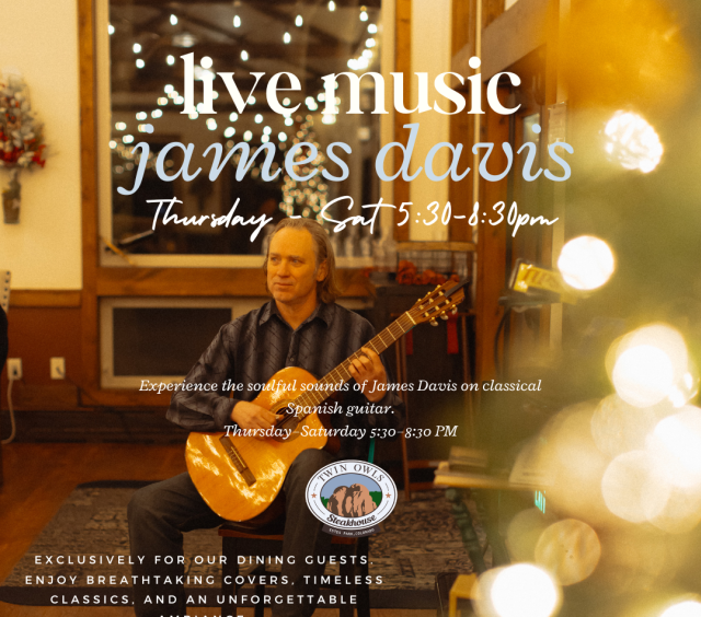 Live Music - Classical & Spanish Guitar
