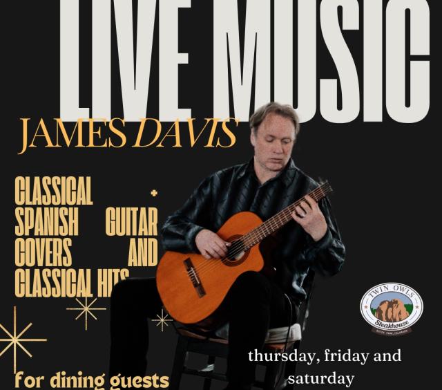 Live Music - Classical & Spanish Guitar