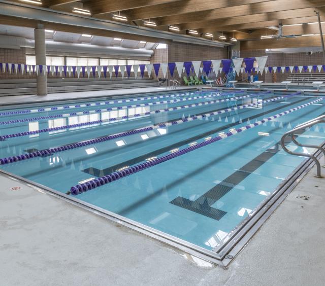 Lap Pool