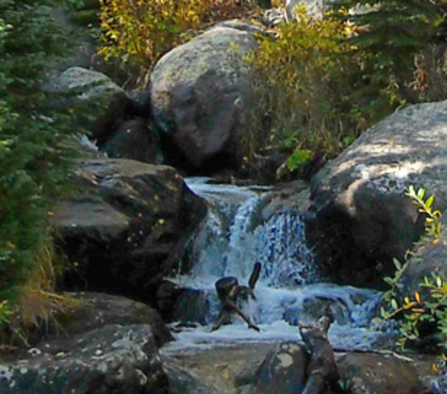 Spring In Estes