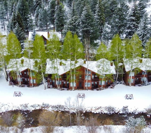 Aspen Winds