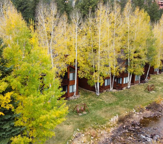 Aspen Winds Fall