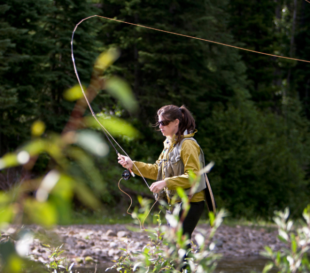 Kirks Flyshop (Things To Do)