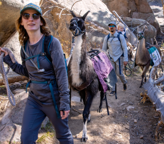 Family with Llamas - Kirks Mountan Adventures TTD