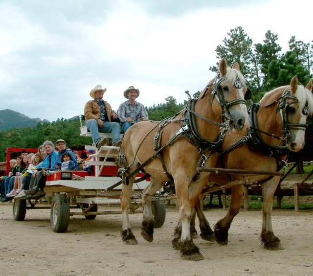 Horseback Riding