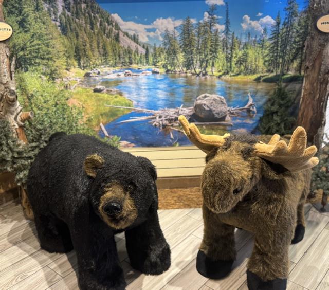 Mumford and Honey Potts