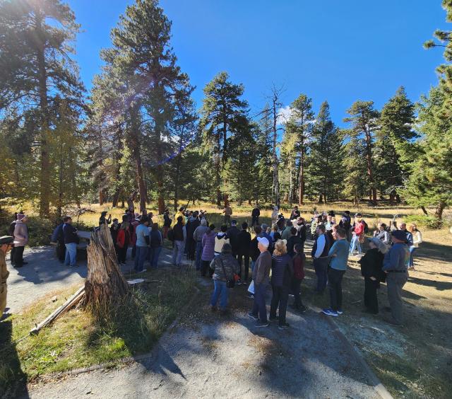 Large group