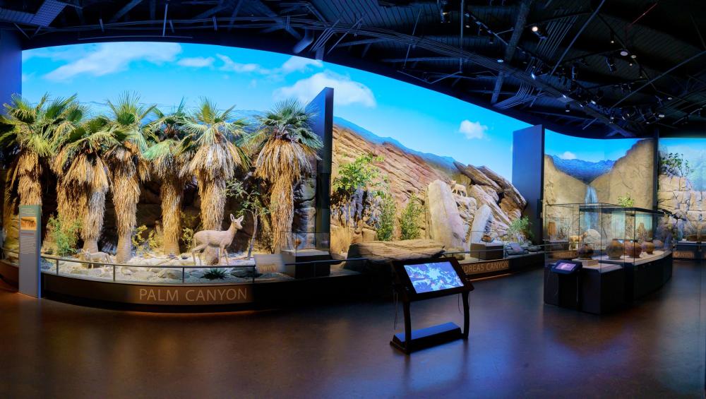 Cultural Museum Exhibit