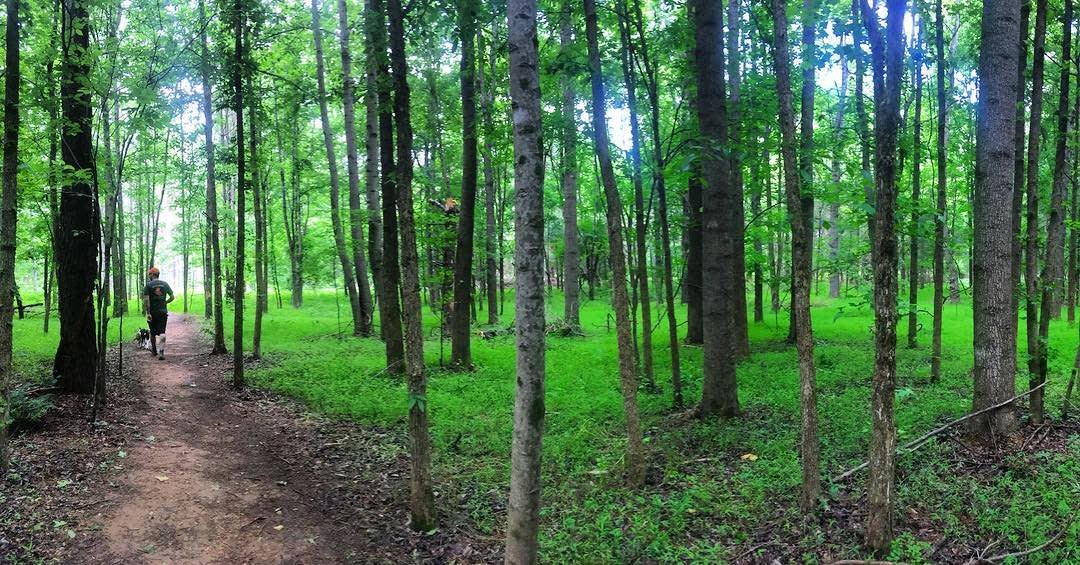 Hiking at Brumley Preserve