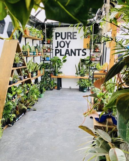 Pure joy hallway