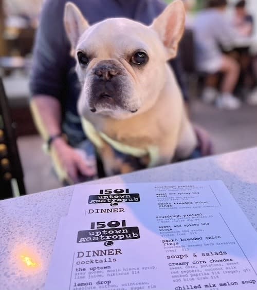 1501-uptown-dog-friendly-restaurant-palm-springs