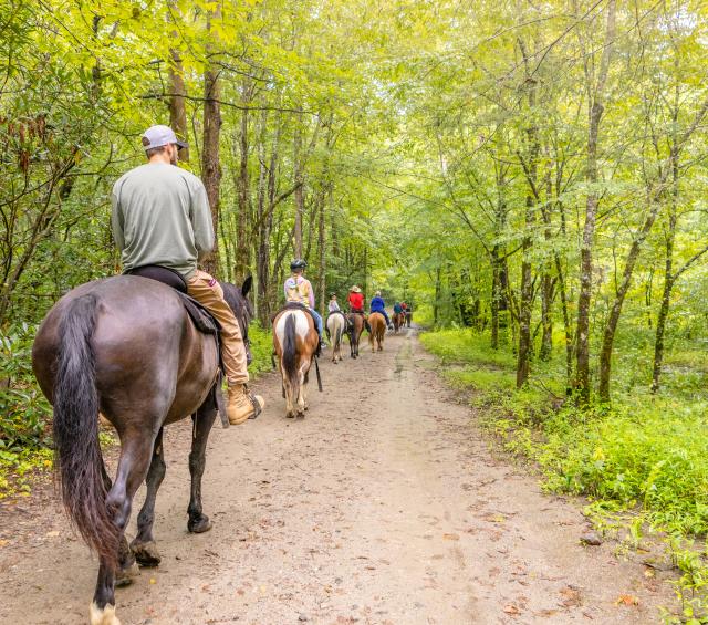 Tsali Recreation Area Horseback Riding