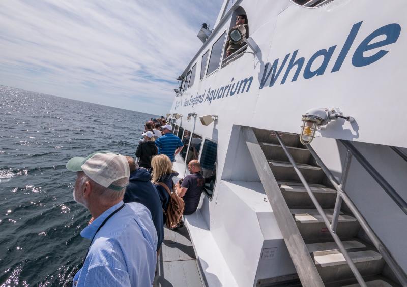 Massachusetts Whale Trail