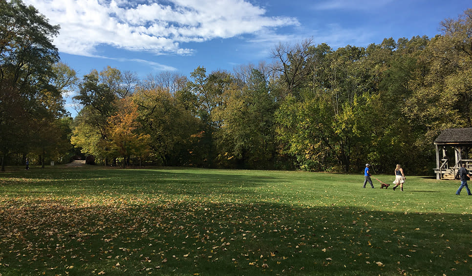 Deep River County Park fall