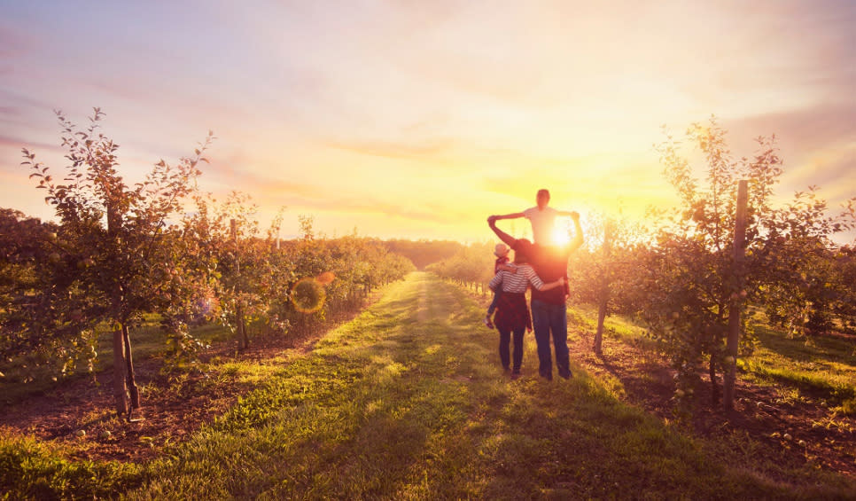 Parents holding their kids while watching the sunset at Fair Oaks Farms Orchard