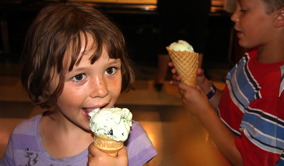 Fair Oaks Farms Ice Cream