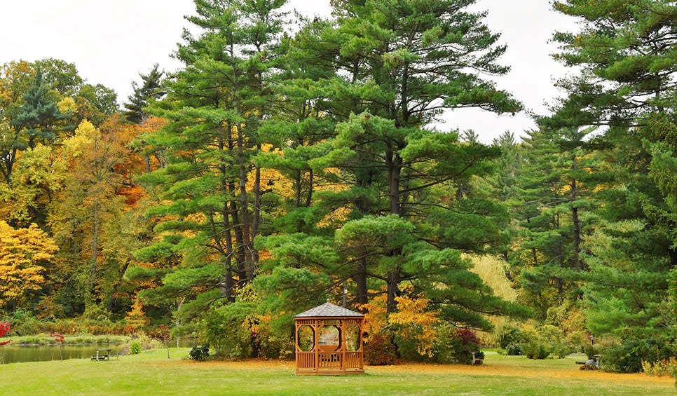 Friendship Botanic Gardens