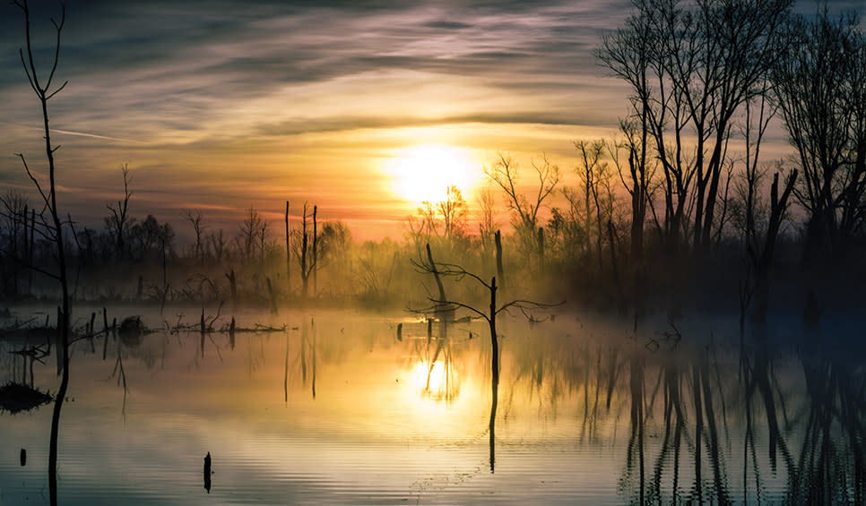 Great Marsh - fog by Rafi Wilkinson