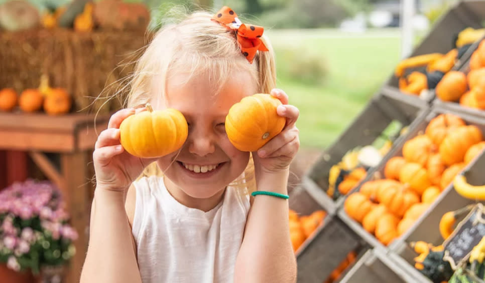 Child holding pumpkins at Harvest Tyme