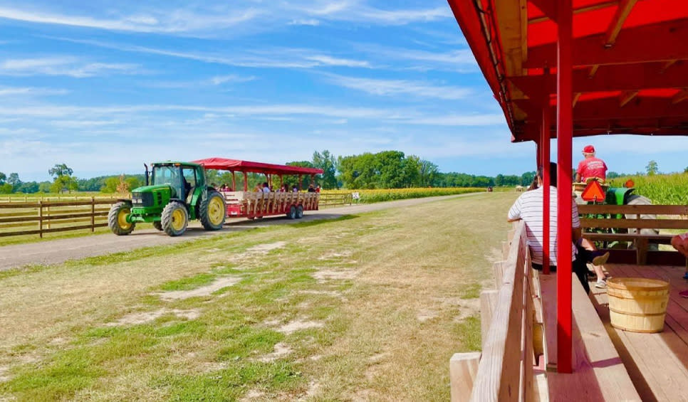 Johnson's Farm Produce in Hobart