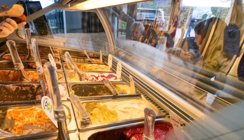 Daresebury Dairy with a selection of icecreams.