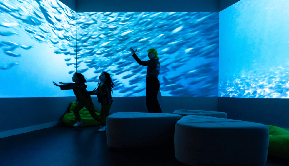 People inside a room full of screens with fishes on