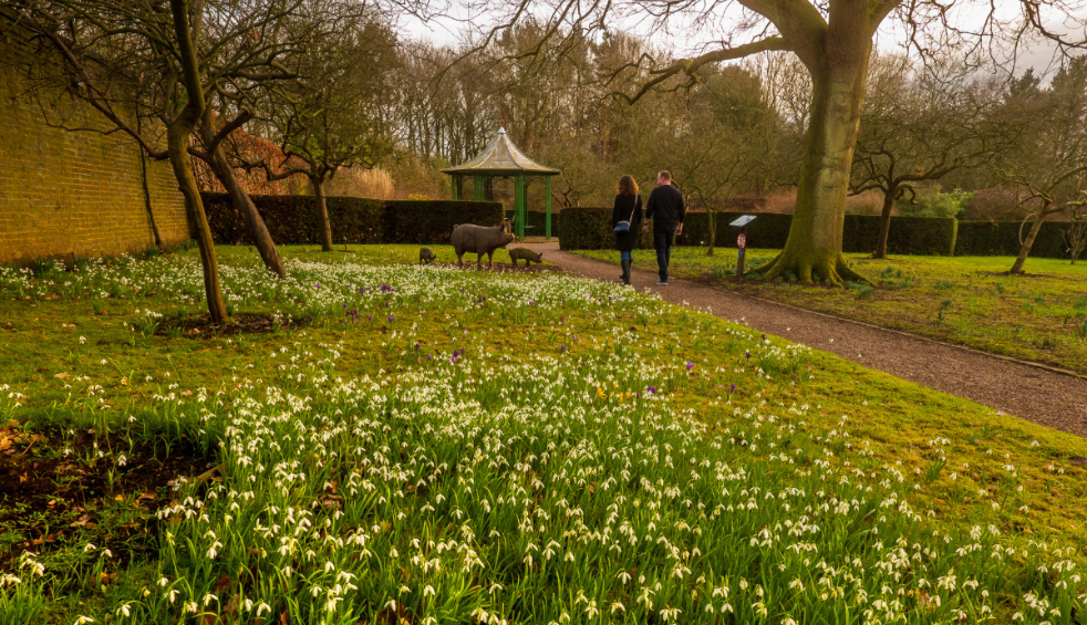 Walled gardens with yellow flowers dotted along the grass.