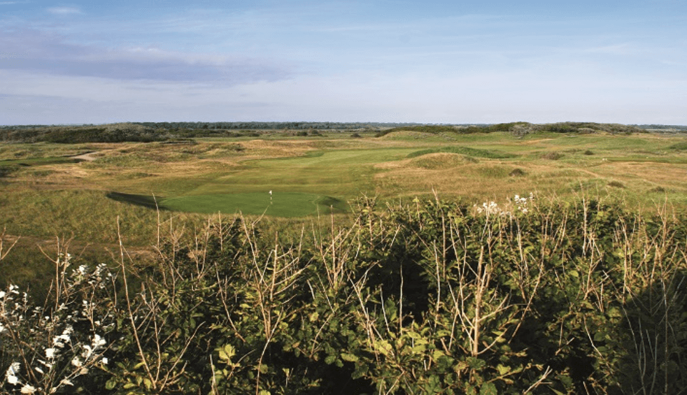 A golf course with grass bunkers and wild flowers in the front.