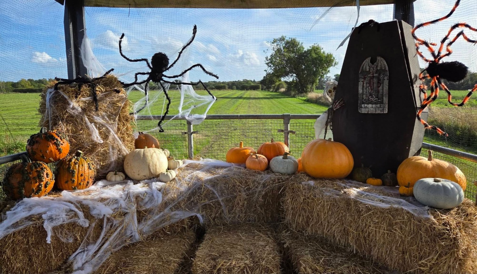 Claremont Farm Pumpkin Picking in Wirral