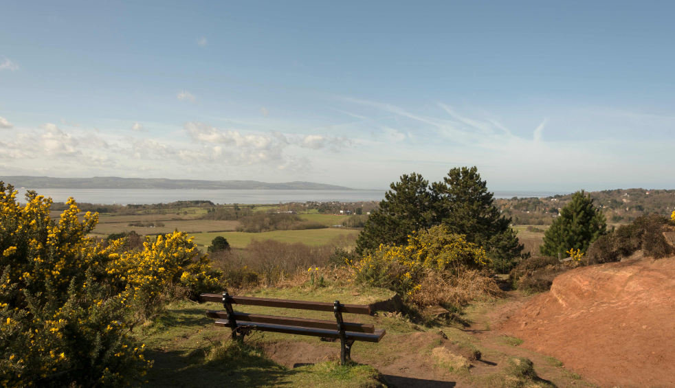 An expanse of green fields and trees with a bench in the foreground