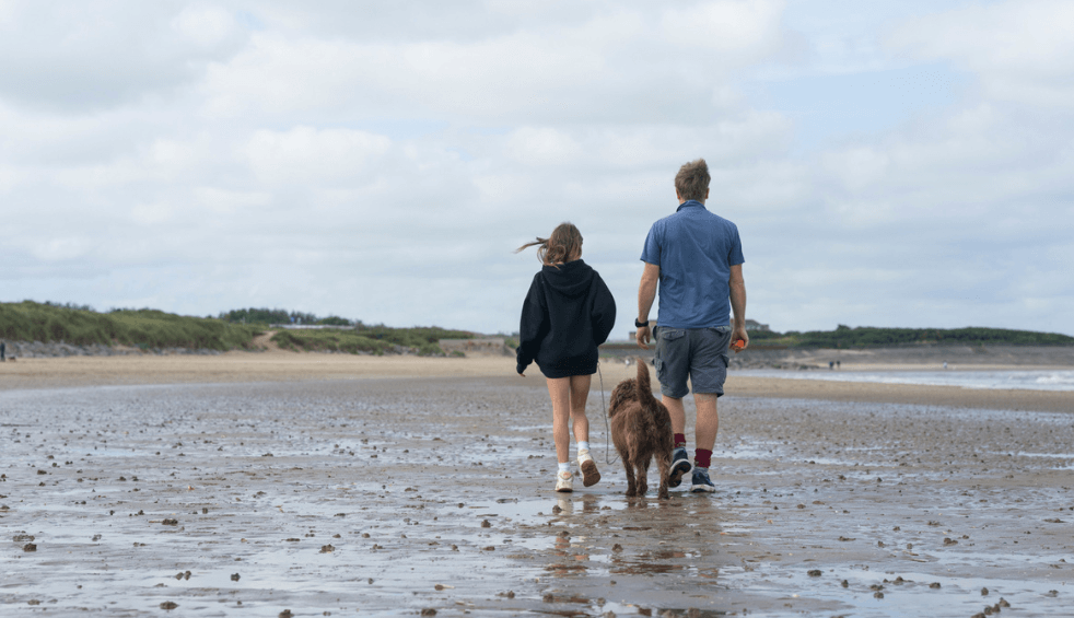 A man, a girl and a dog walk along the beach