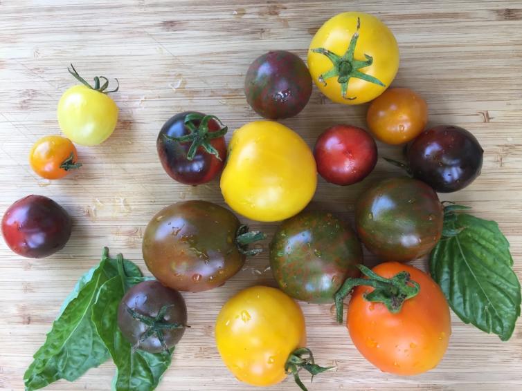 Sunshine Farms Heirloom Tomatoes