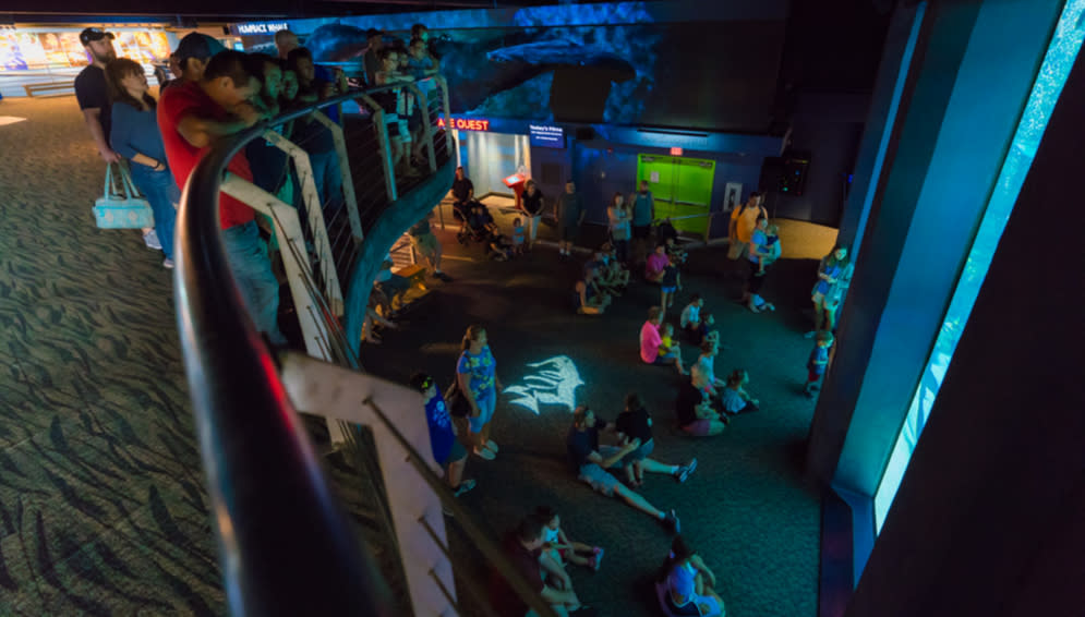 Copy of NC Aquarium DRT