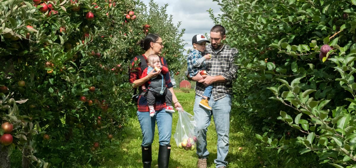 family-apple-picking