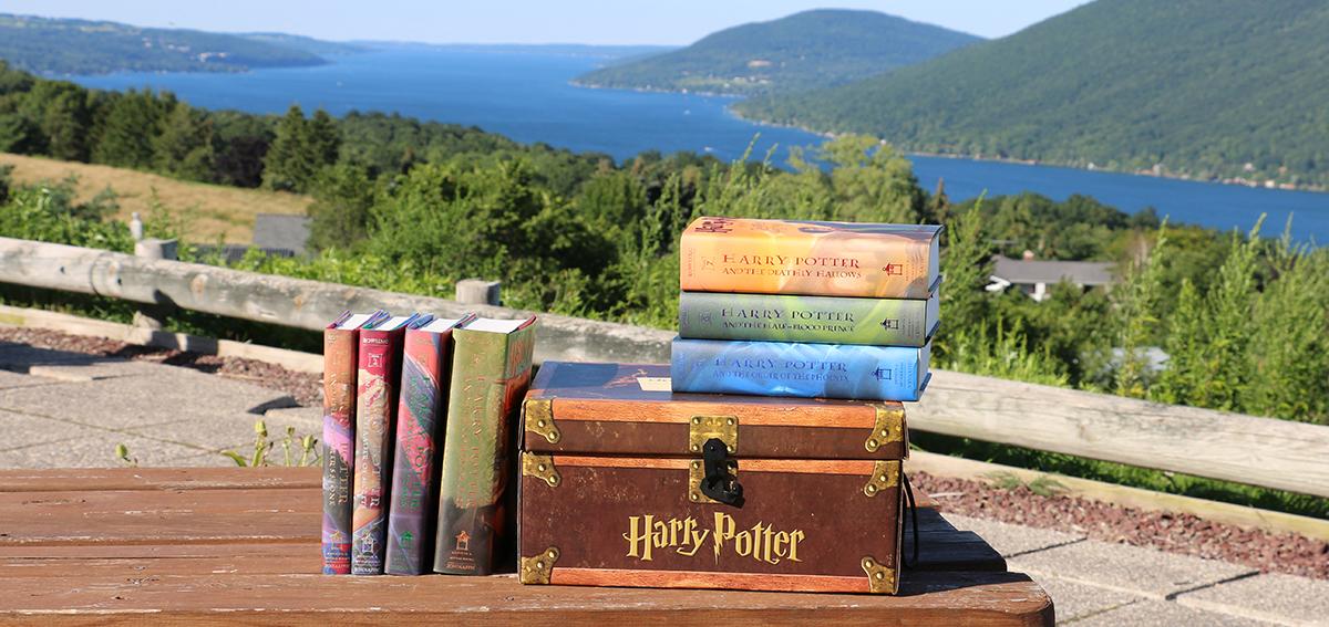Harry Potter collection at the County Road 12 overlook