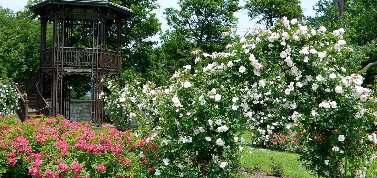 finger-lakes-sonnenberg-canandaigua-grounds-rose-garden-gazebo