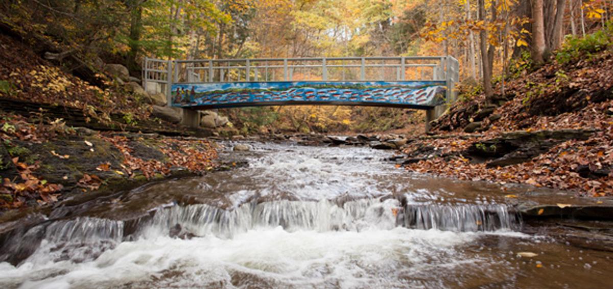 grimes-glen-fall-naples-bridge-watrer-falls-david-brown