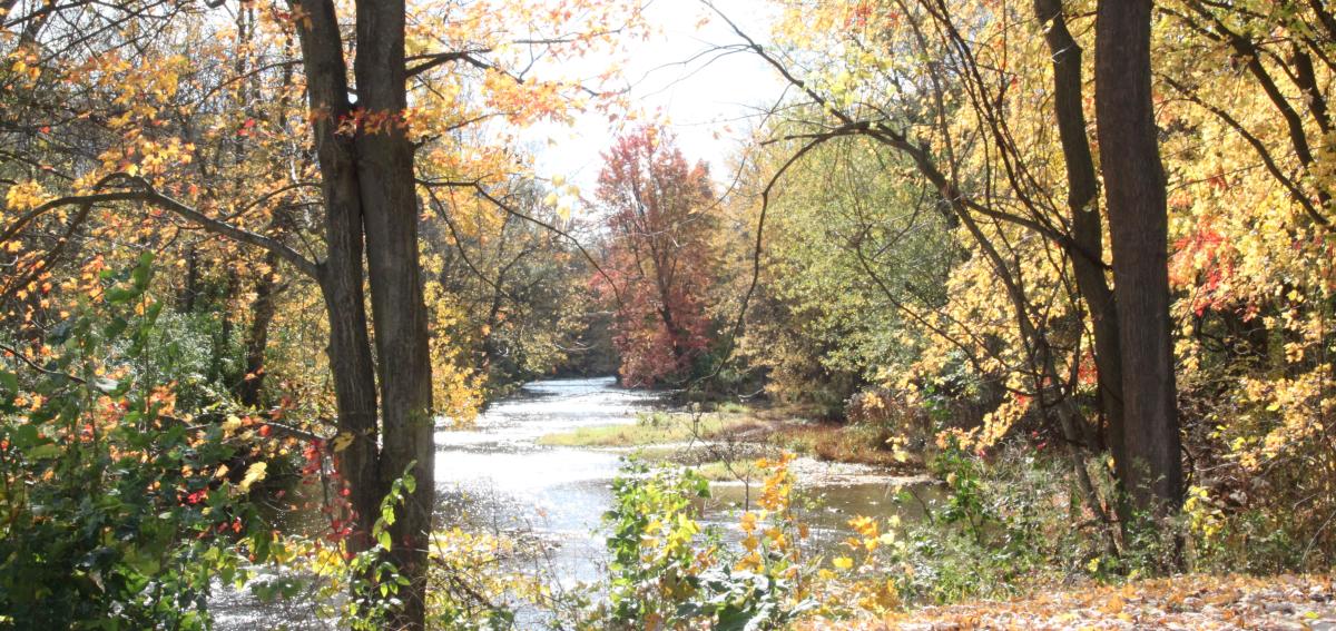 Manchester Gateway Trail in the Fall