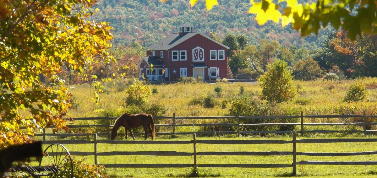 View from Mountain Horse Farm overlooking the pastures