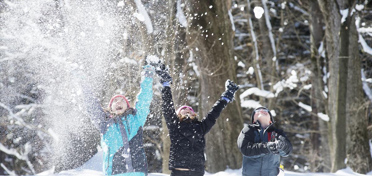 A group of kids playing in the snow