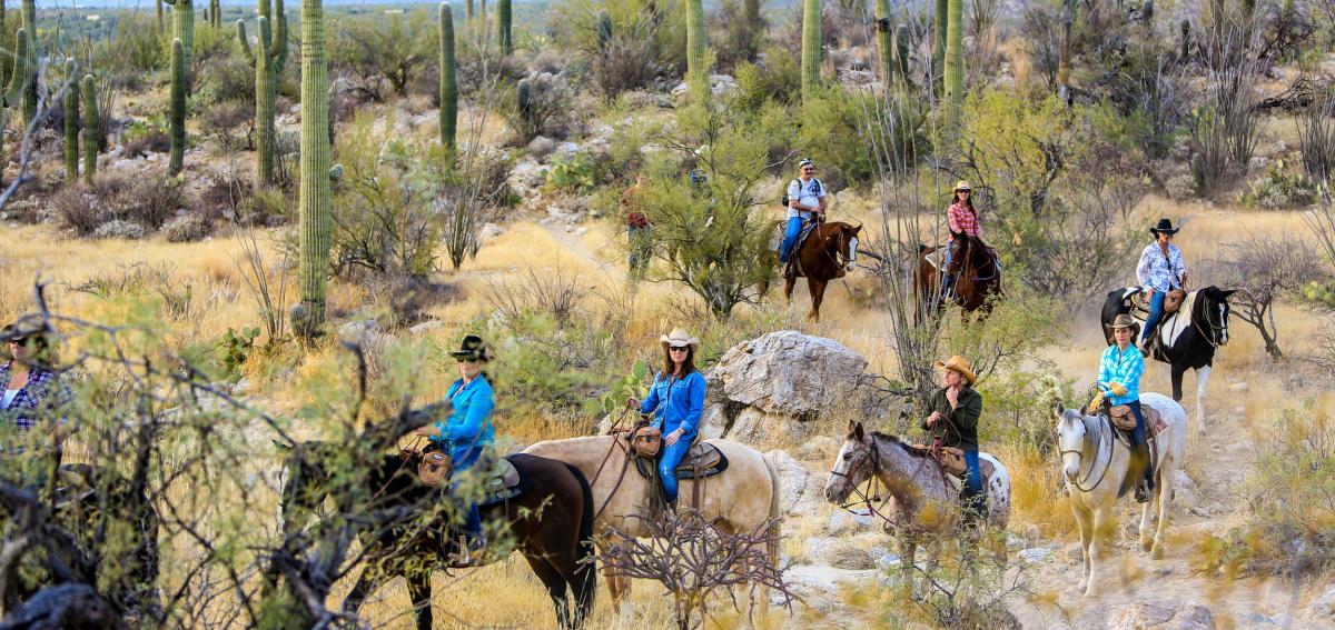 Group of people riding horses in the Sonoran Desert at Tanque Verde Ranch