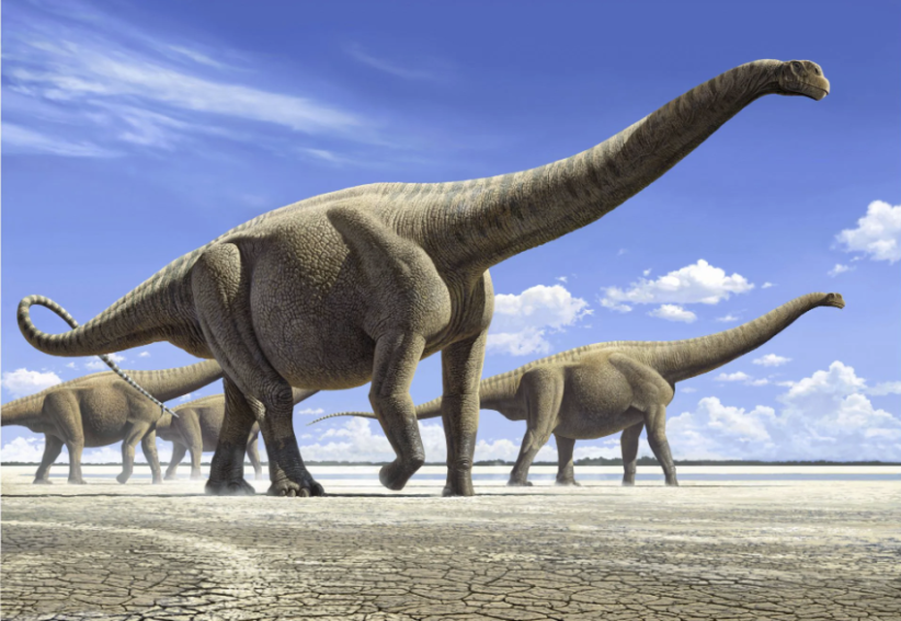 Worlds Largest Dinosaurs at DMNS