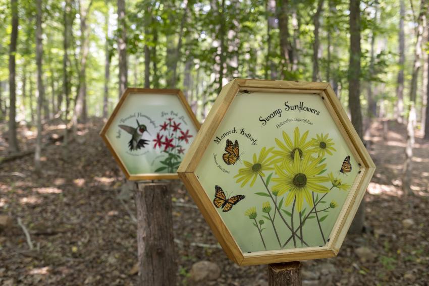 Wildlife Signs at Blackwood Farm Park