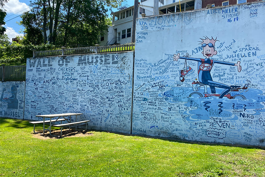 Musselman Mural Geneva